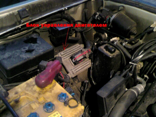 %d0%b1%d0%b5%d0%b7%d1%8b%d0%bc%d1%8f%d0%bd%d0%bd%d1%8b%d0%b9